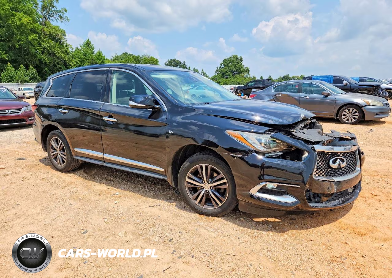 2019 Infiniti Qx60 Pure VIN:5N1DL0MM9KC549277 - 4