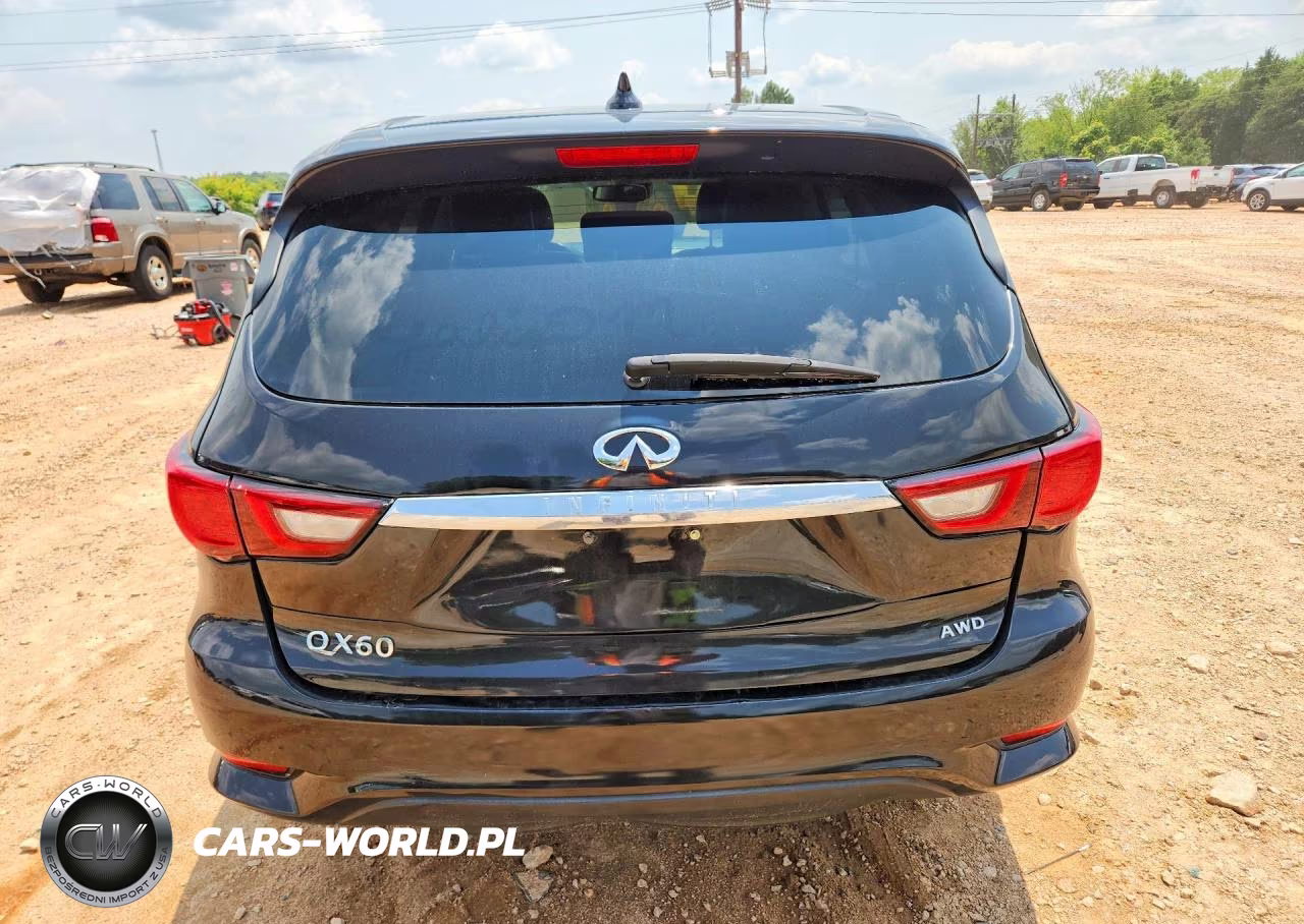 2019 Infiniti Qx60 Pure VIN:5N1DL0MM9KC549277 - 6