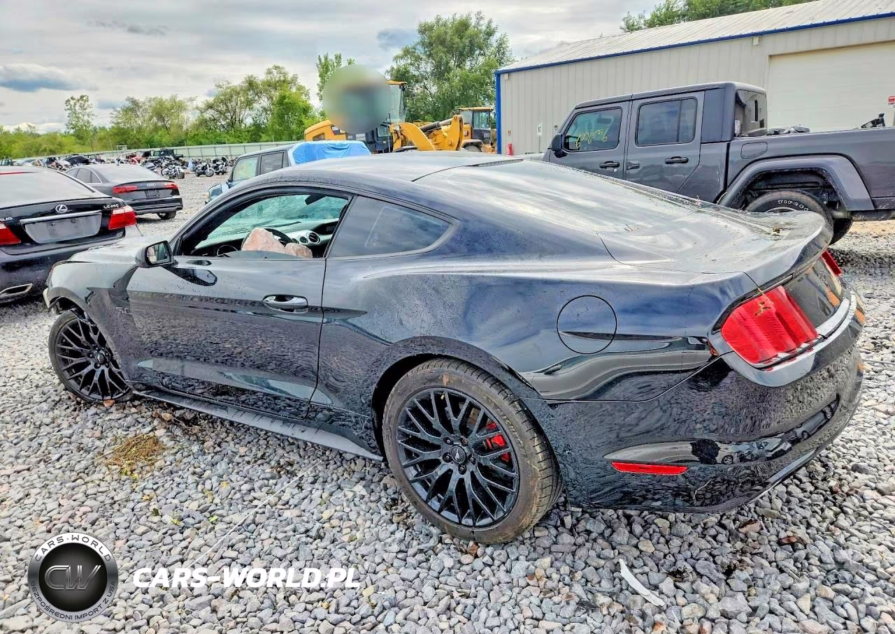 2017 Ford Mustang Gt VIN:1FA6P8CF2H5212987 - 2