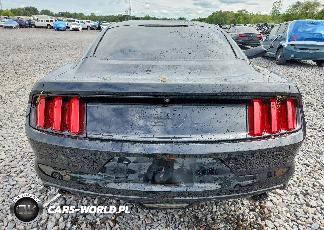 2017 Ford Mustang Gt VIN:1FA6P8CF2H5212987 - 6
