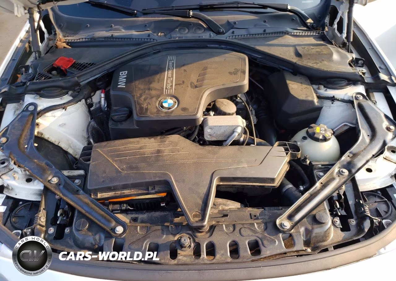 2014 BMW 428 Xi Sulev VIN:WBA3T1C59EPS98383 - 11