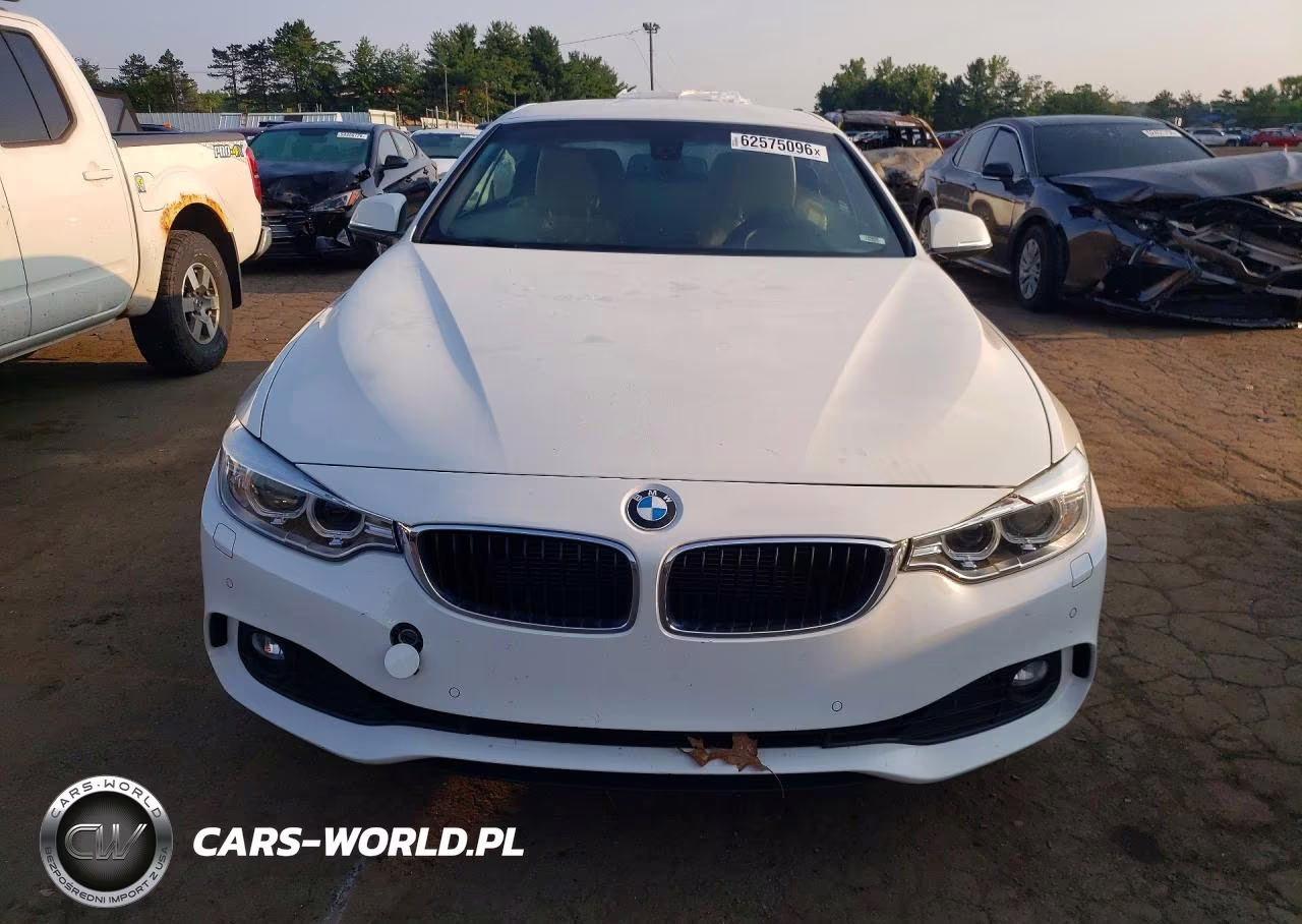 2014 BMW 428 Xi Sulev VIN:WBA3T1C59EPS98383 - 5