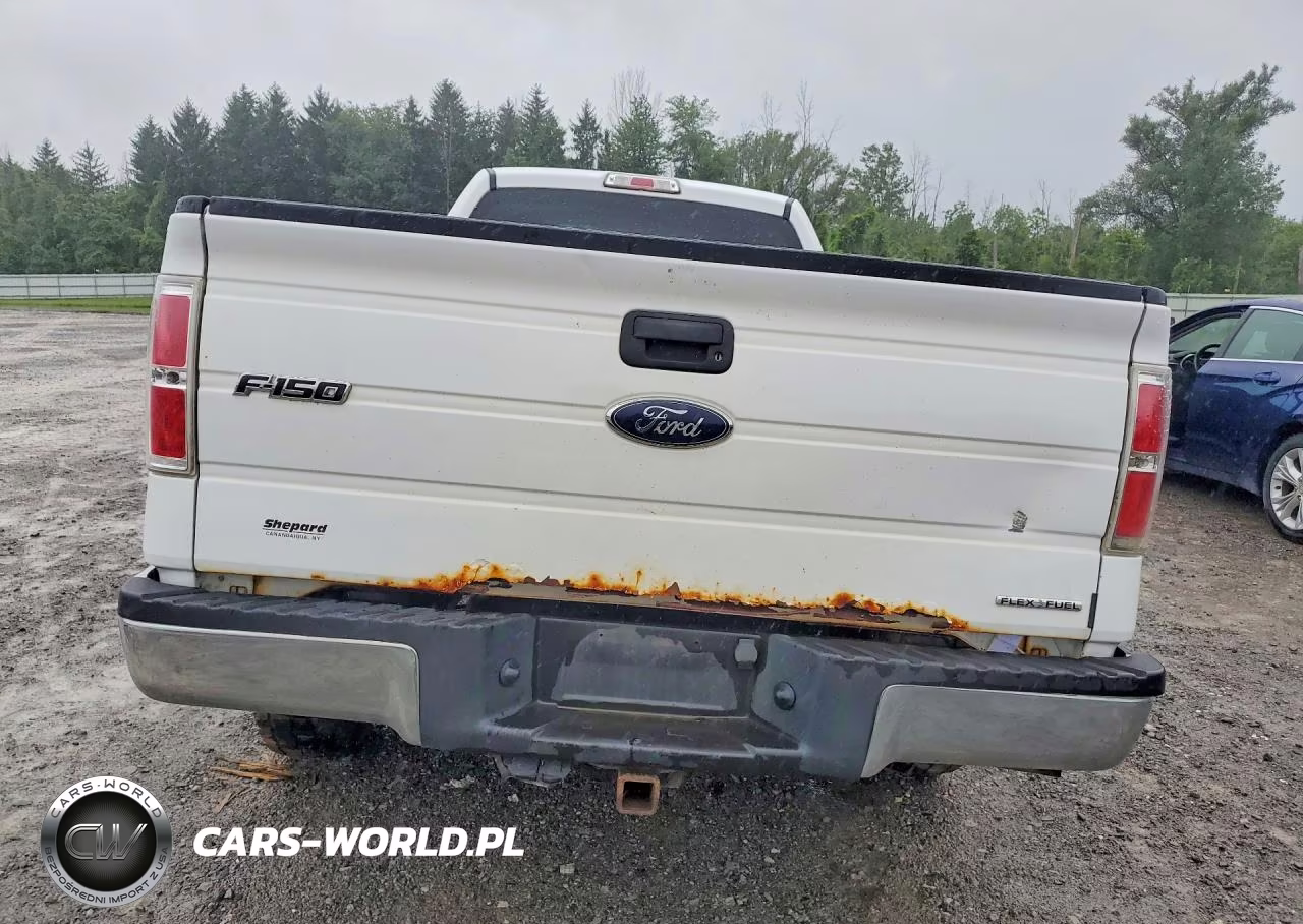 2014 Ford F150 VIN:1FTNF1CF4EKG18783 - 6