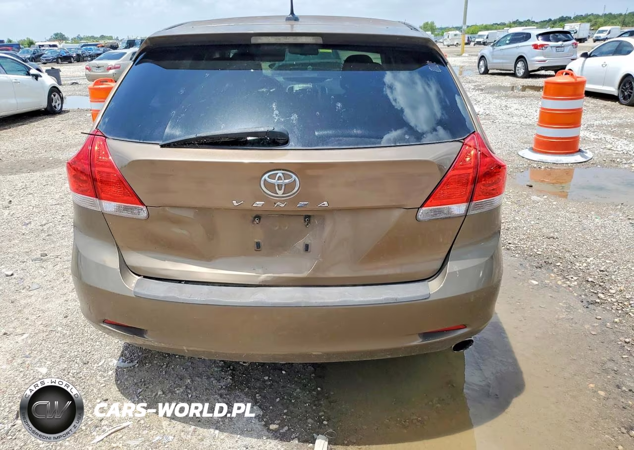 2009 Toyota Venza Fwd 4Cyl VIN:4T3ZE11A99U009021 - 6