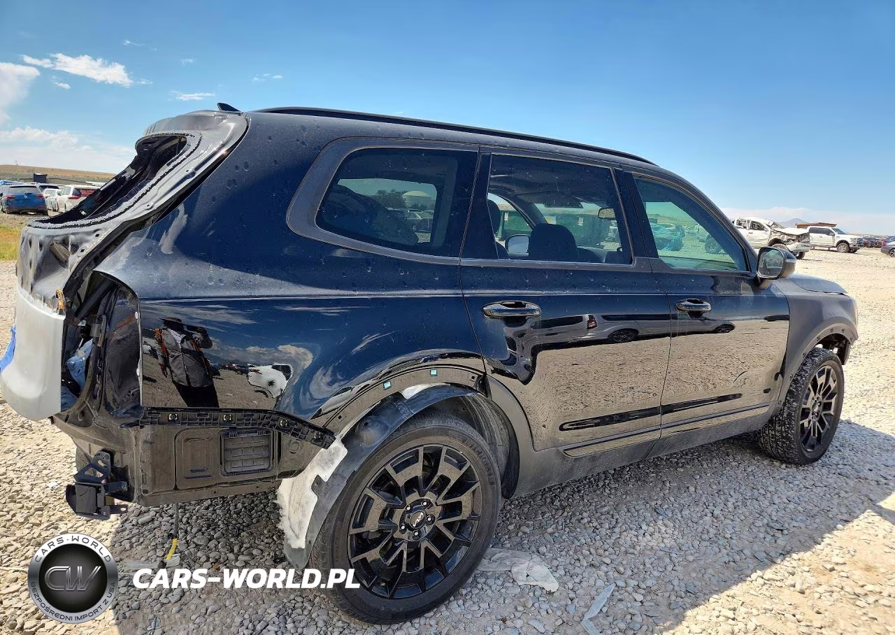 2022 Kia Telluride Ex VIN:5XYP3DHC1NG261988 - 3