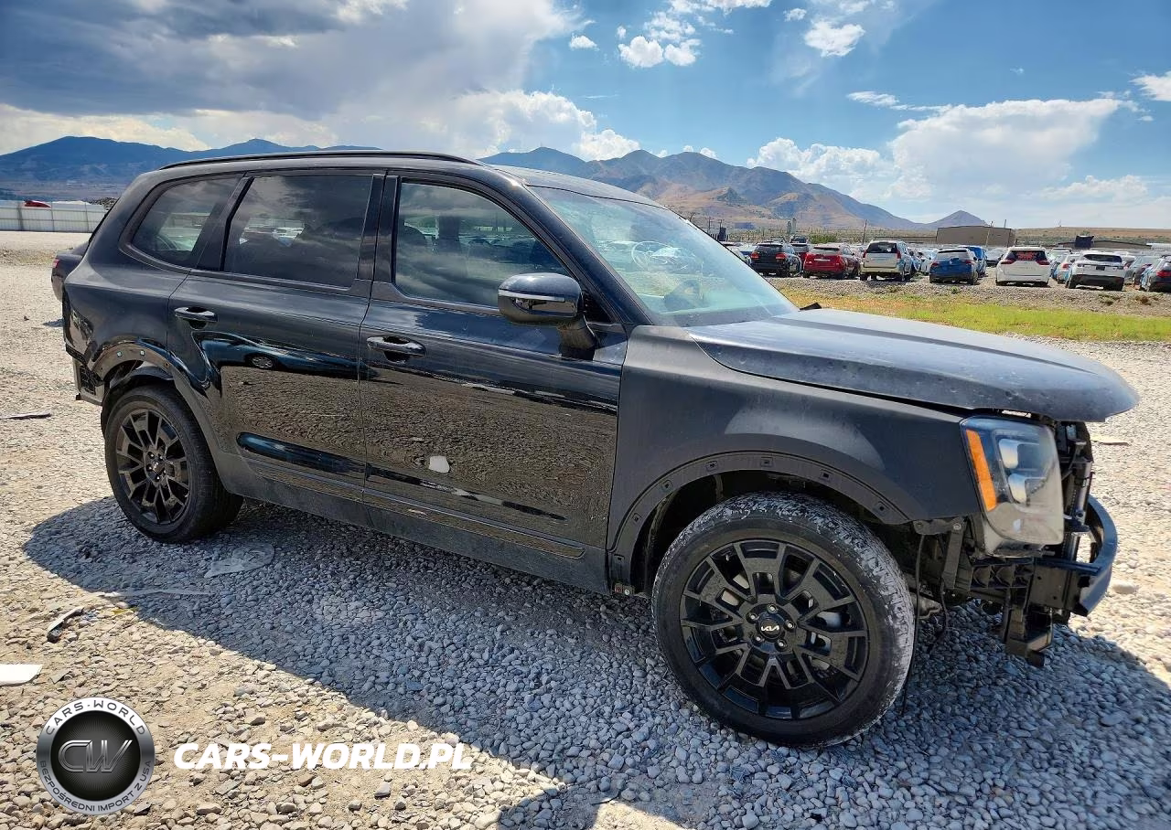 2022 Kia Telluride Ex VIN:5XYP3DHC1NG261988 - 4
