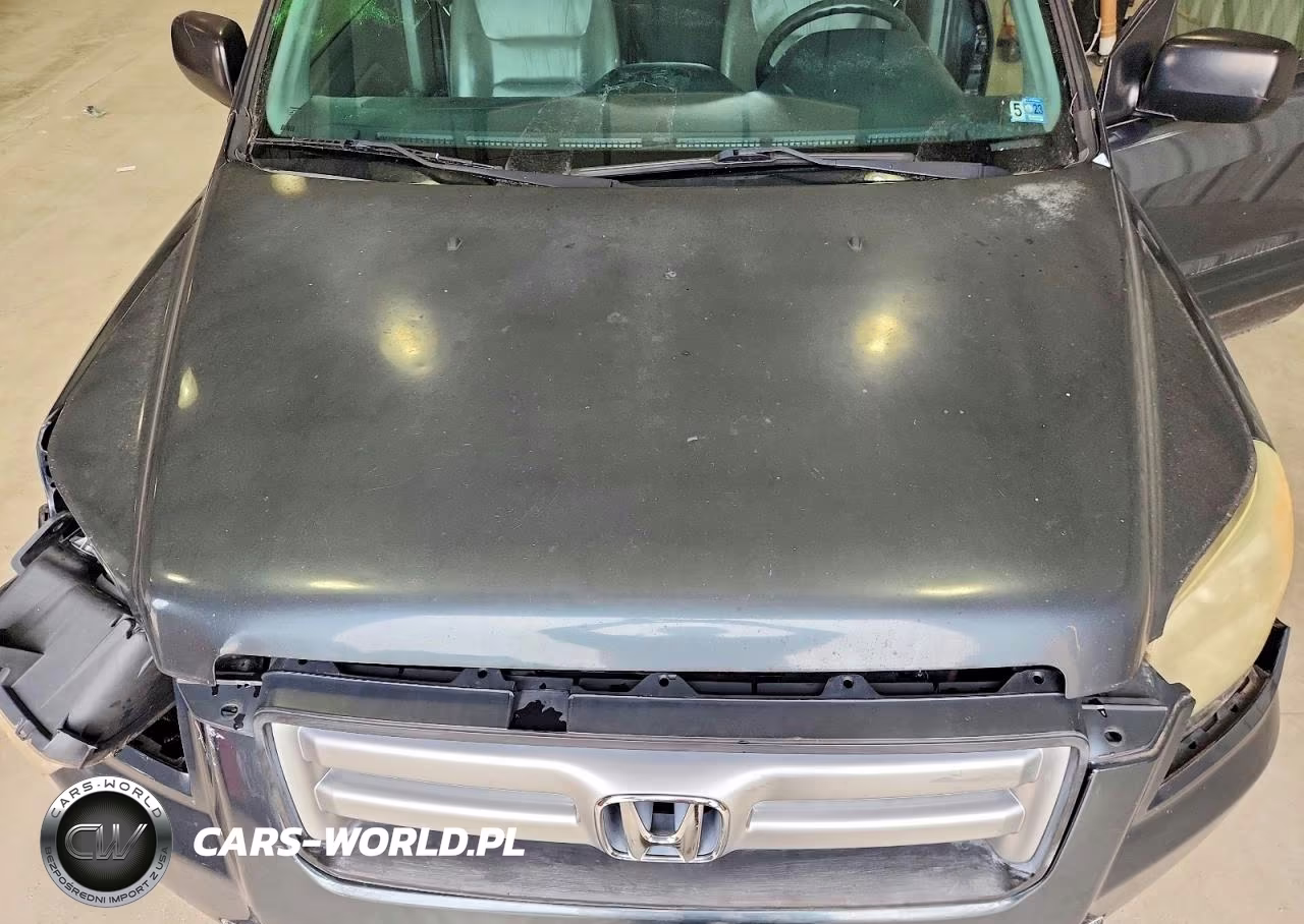 2006 Honda Pilot Lx VIN:5FNYF28146B032177 - 12
