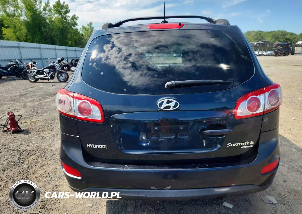 2010 Hyundai Santa Fe Gls VIN:5NMSGDAB6AH347300 - 6