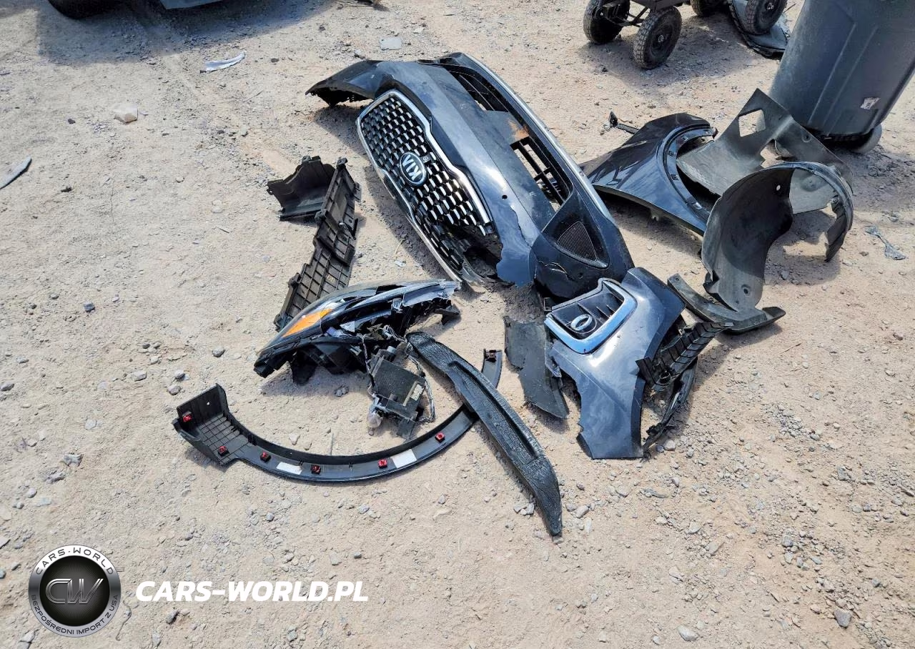 2019 Kia Sorento Sx V6 VIN:5XYPKDA51KG520294 - 13
