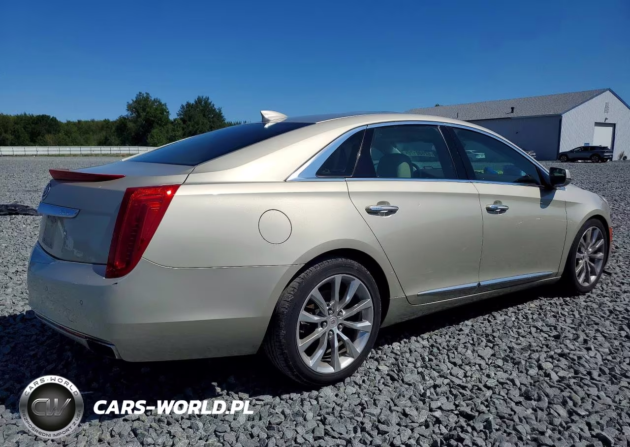 2015 Cadillac Xts Luxury Collection VIN:2G61M5S33F9118834 - 3