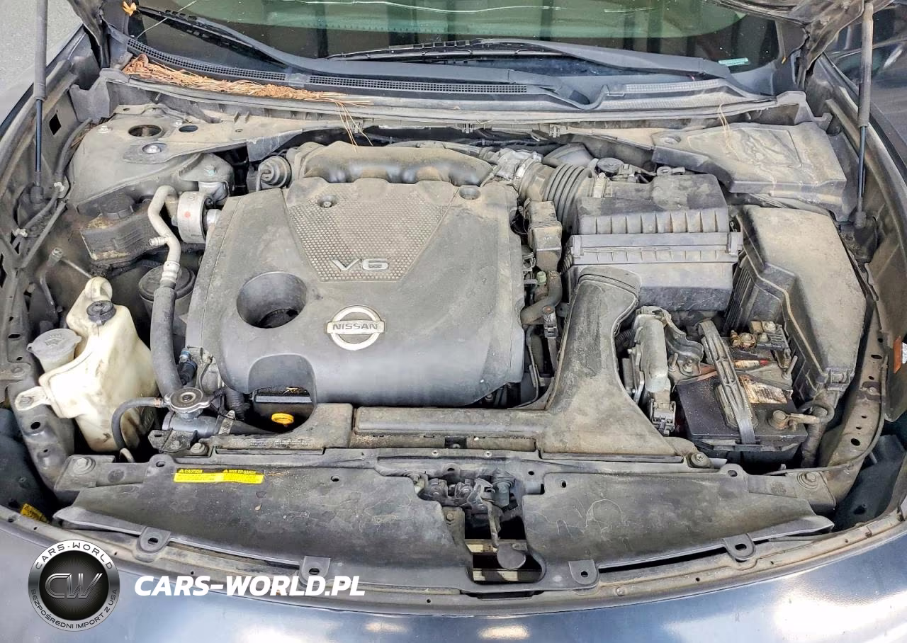 2009 Nissan Maxima 3.5 S VIN:1N4AA51E39C848870 - 11