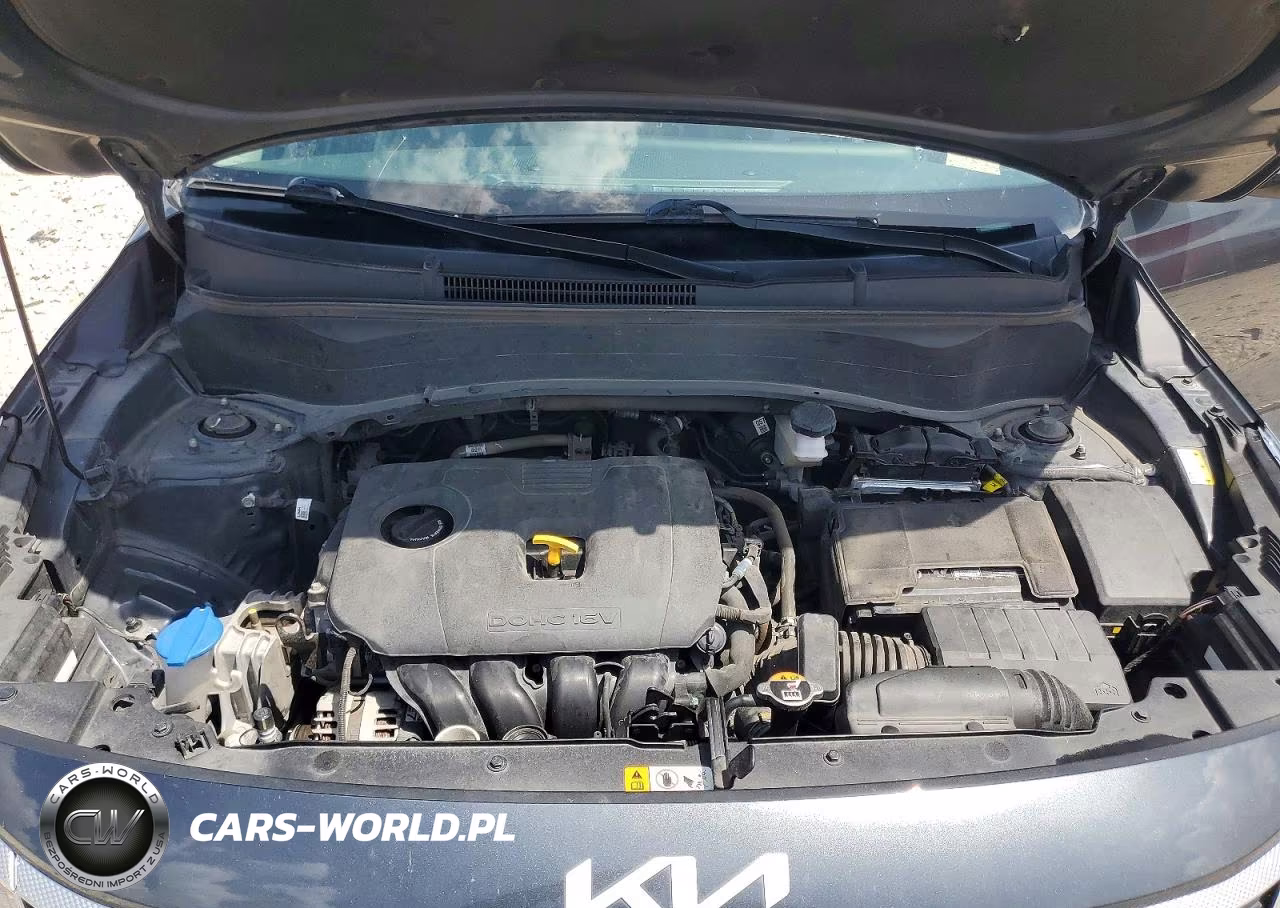 2024 Kia Seltos Ex VIN:KNDER2AA1R7471223 - 12