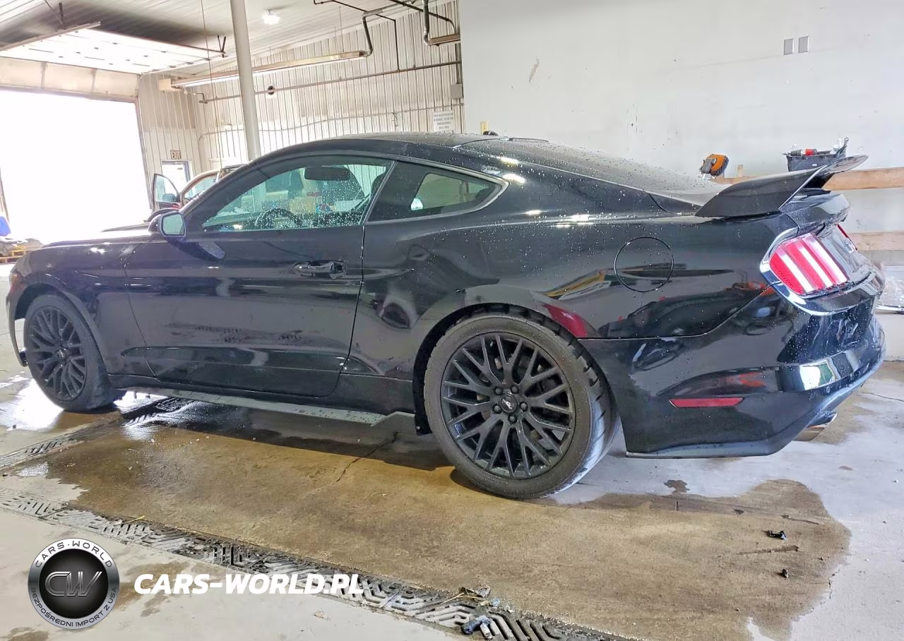 2017 Ford Mustang Gt VIN:1FA6P8CF3H5201786 - 2