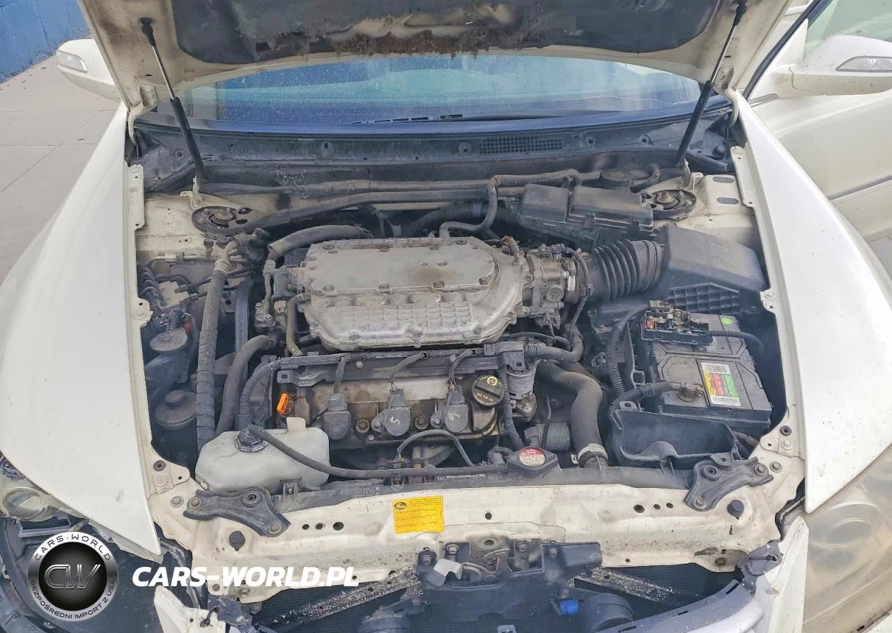 2005 Acura Rl VIN:JH4KB16515C015686 - 11