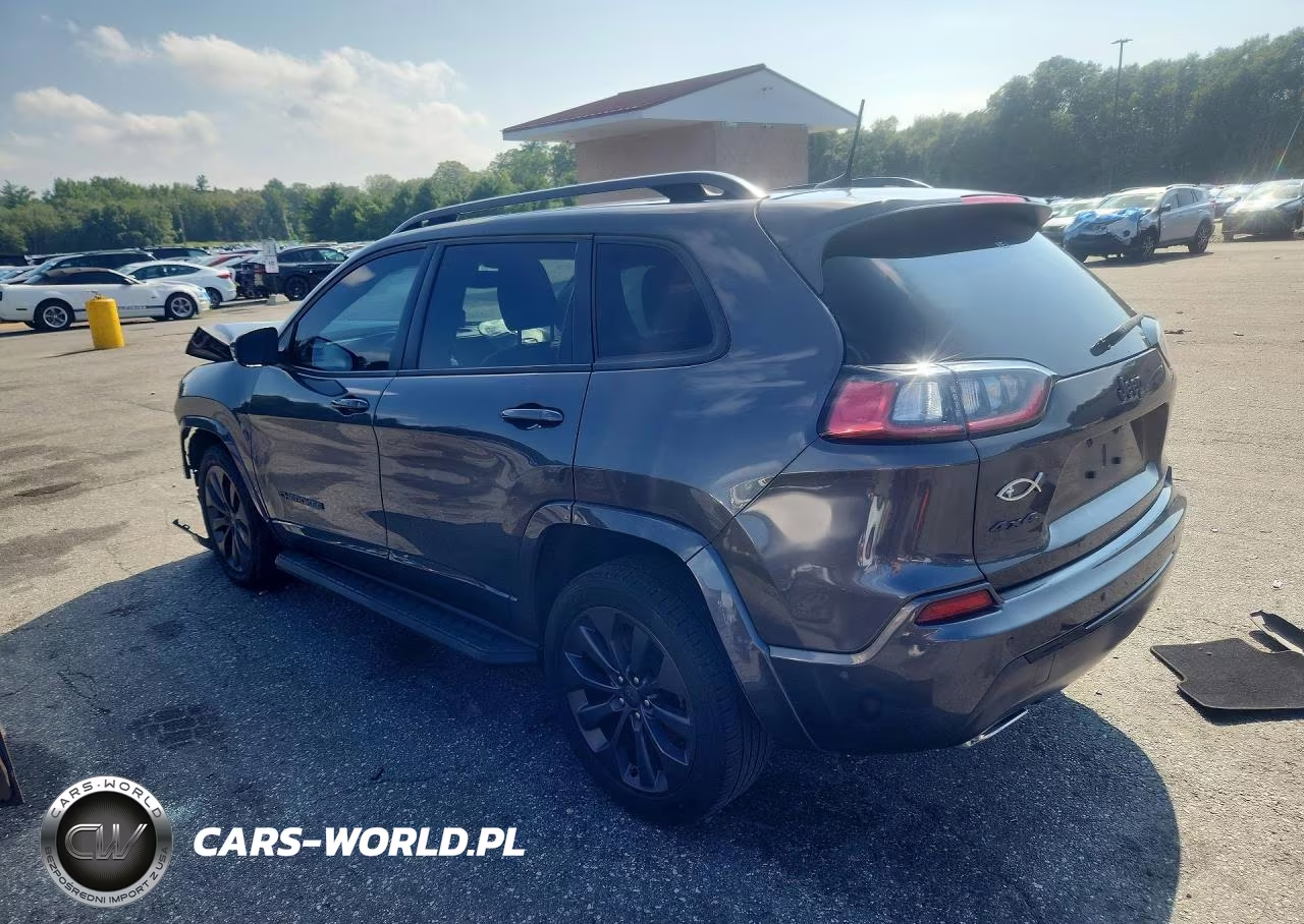 2019 Jeep Cherokee Limited VIN:1C4PJMDX9KD400080 - 2