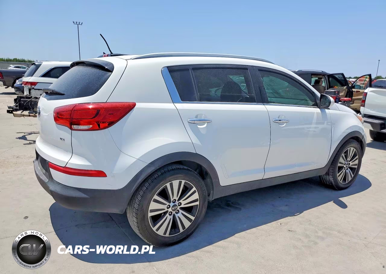 2016 Kia Sportage Ex VIN:KNDPC3AC6G7863242 - 3