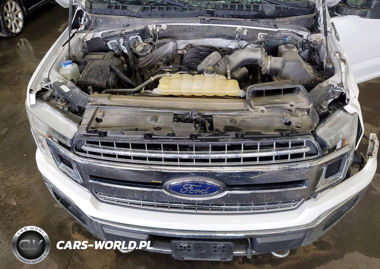 2019 Ford F150 Supercrew VIN:1FTEW1E51KFC86651 - 11