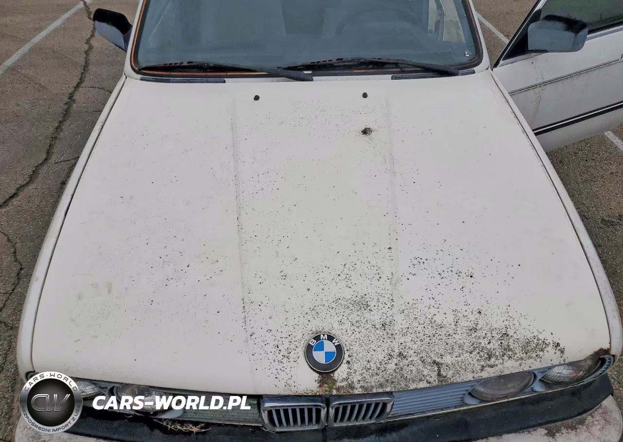 1986 BMW 325 E Automatic VIN:WBAAE6409G0704997 - 11