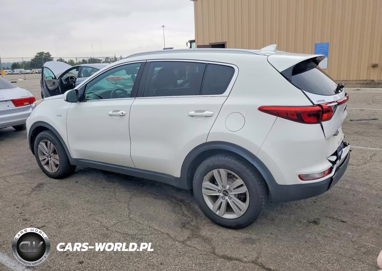 2019 Kia Sportage Lx VIN:KNDPMCAC2K7619447 - 2