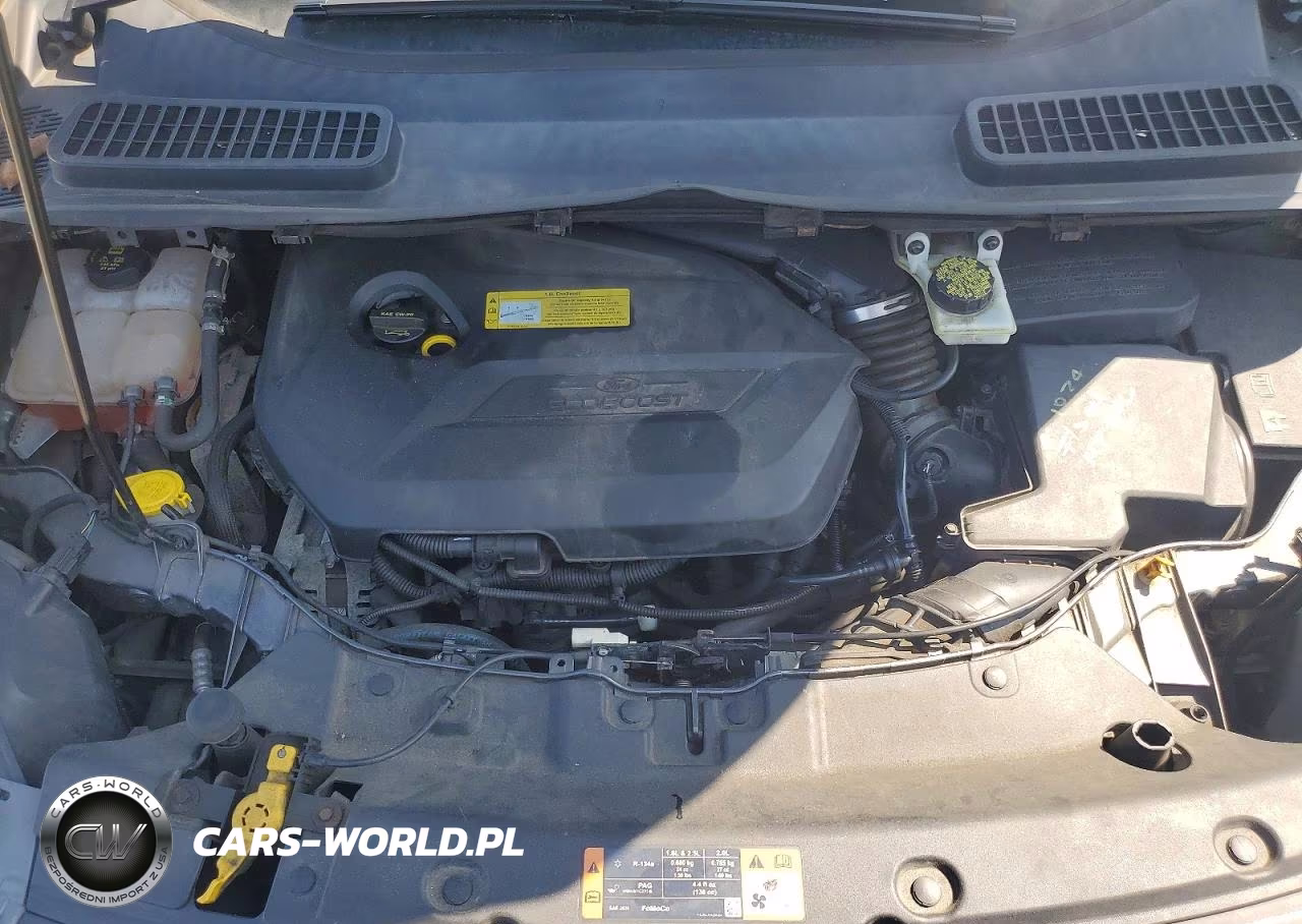 2014 Ford Escape Se VIN:1FMCU0GX0EUC48474 - 12