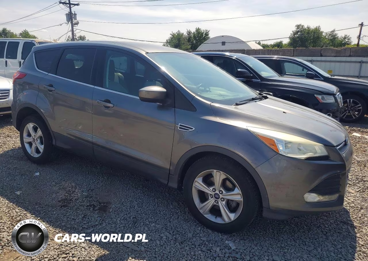 2014 Ford Escape Se VIN:1FMCU0GX0EUC48474 - 4