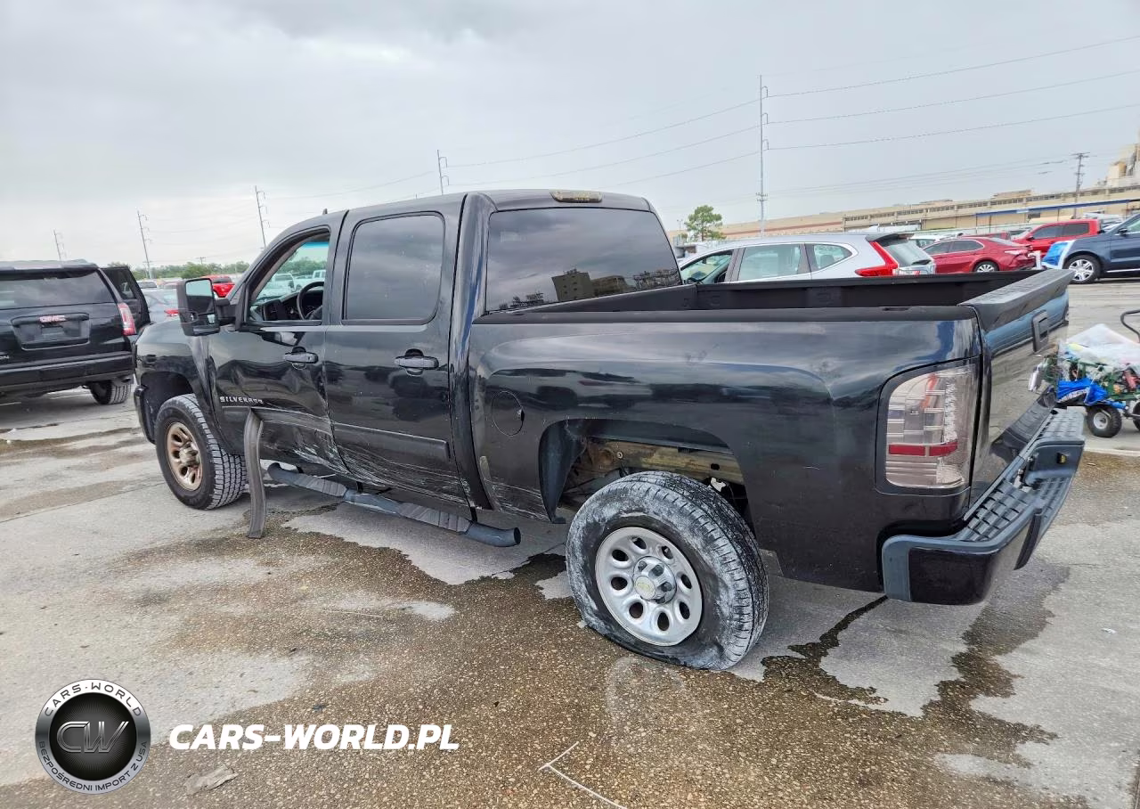 2009 Chevrolet Silverado C1500 VIN:3GCEC13CX9G242277 - 2
