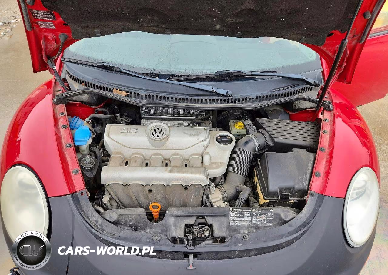 2007 Volkswagen New Beetle 2.5L Option Package 1 VIN:3VWRW31C87M504784 - 11