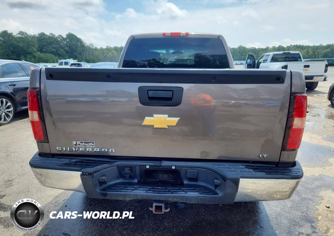 2013 Chevrolet Silverado C1500 Lt VIN:1GCRCSEA0DZ296098 - 6