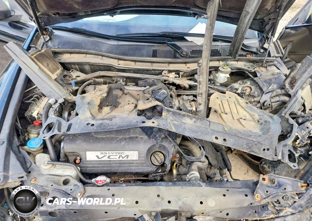 2011 Honda Accord Exl VIN:1HGCP3F84BA009175 - 11