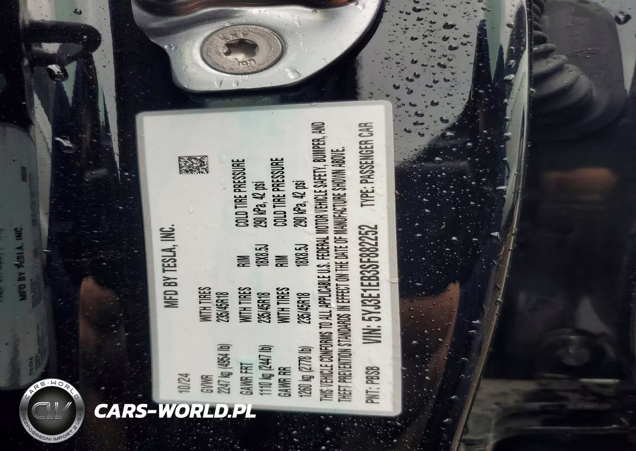 2025 Tesla Model 3 VIN:5YJ3E1EB3SF882252 - 12