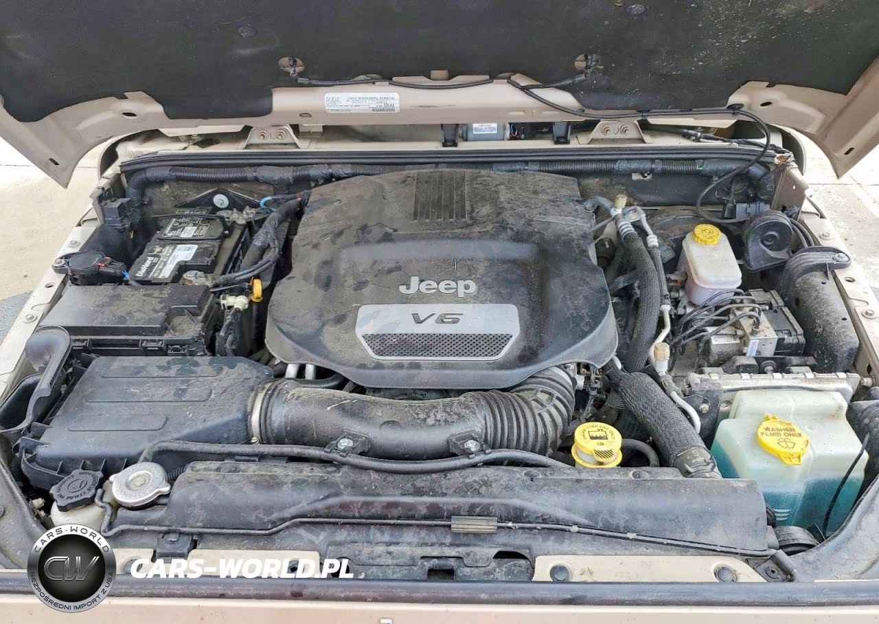 2016 Jeep Wrangler Unlimited Rubicon VIN:1C4BJWFG6GL317013 - 12