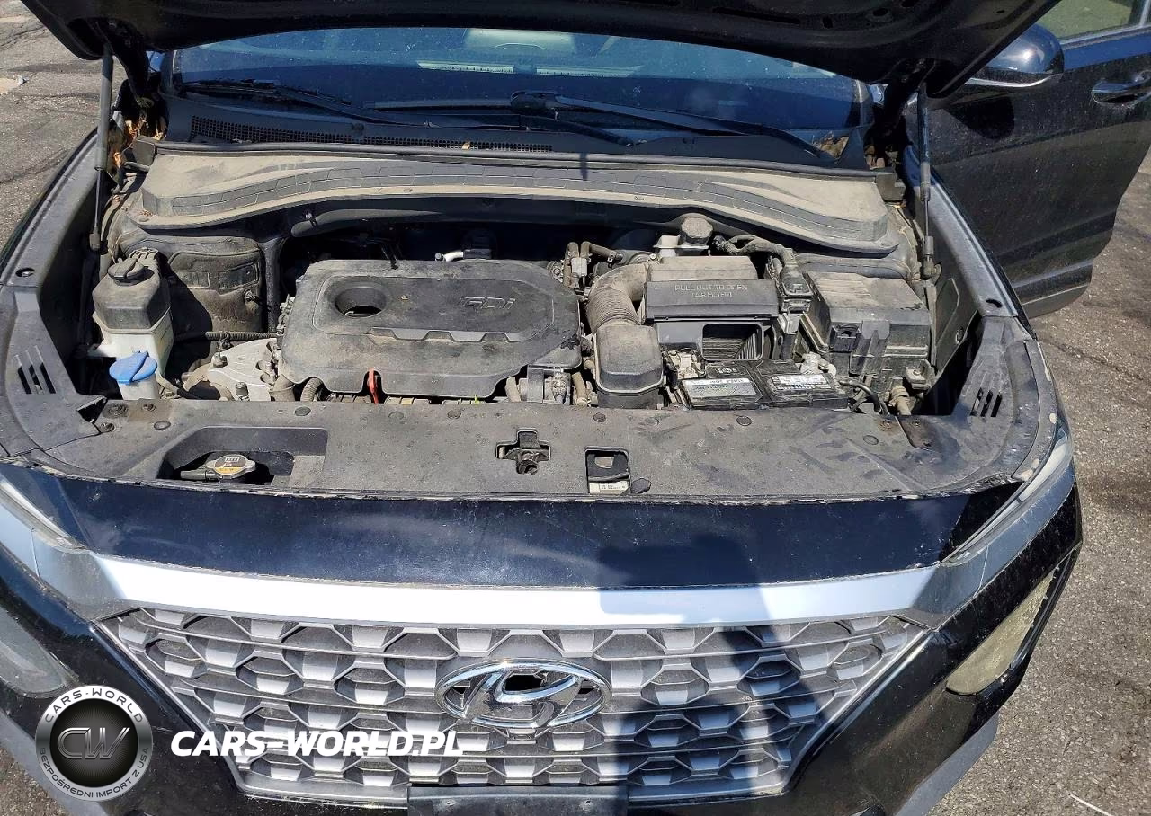 2019 Hyundai Santa Fe Se VIN:5NMS2CAD2KH106670 - 11