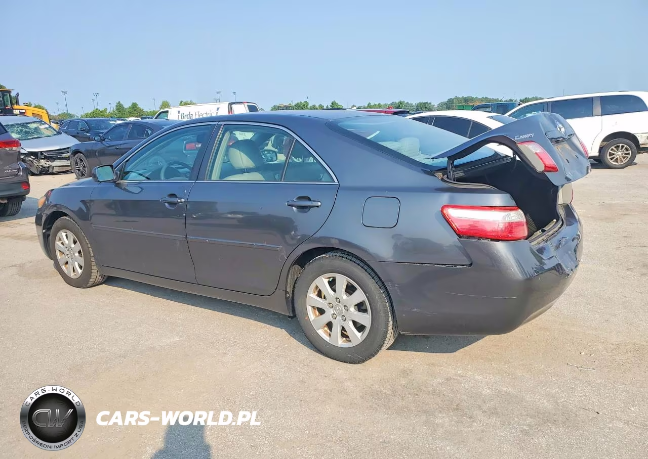 2009 Toyota Camry Xle VIN:4T4BE46KX9R071322 - 2