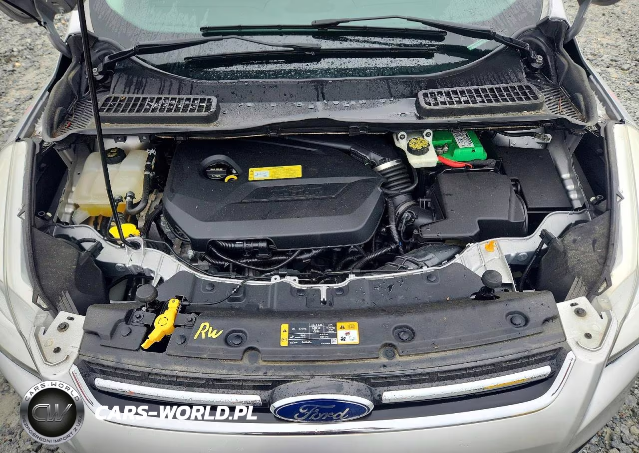 2014 Ford Escape Titanium VIN:1FMCU0JX5EUA19717 - 12