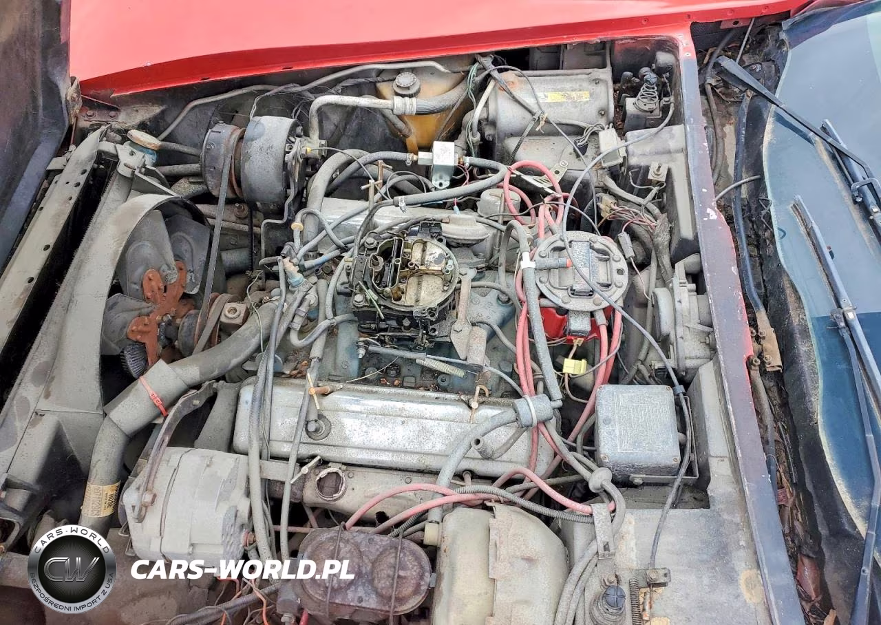 1980 Chevrolet Corvette VIN:1Z878AS413715 - 11