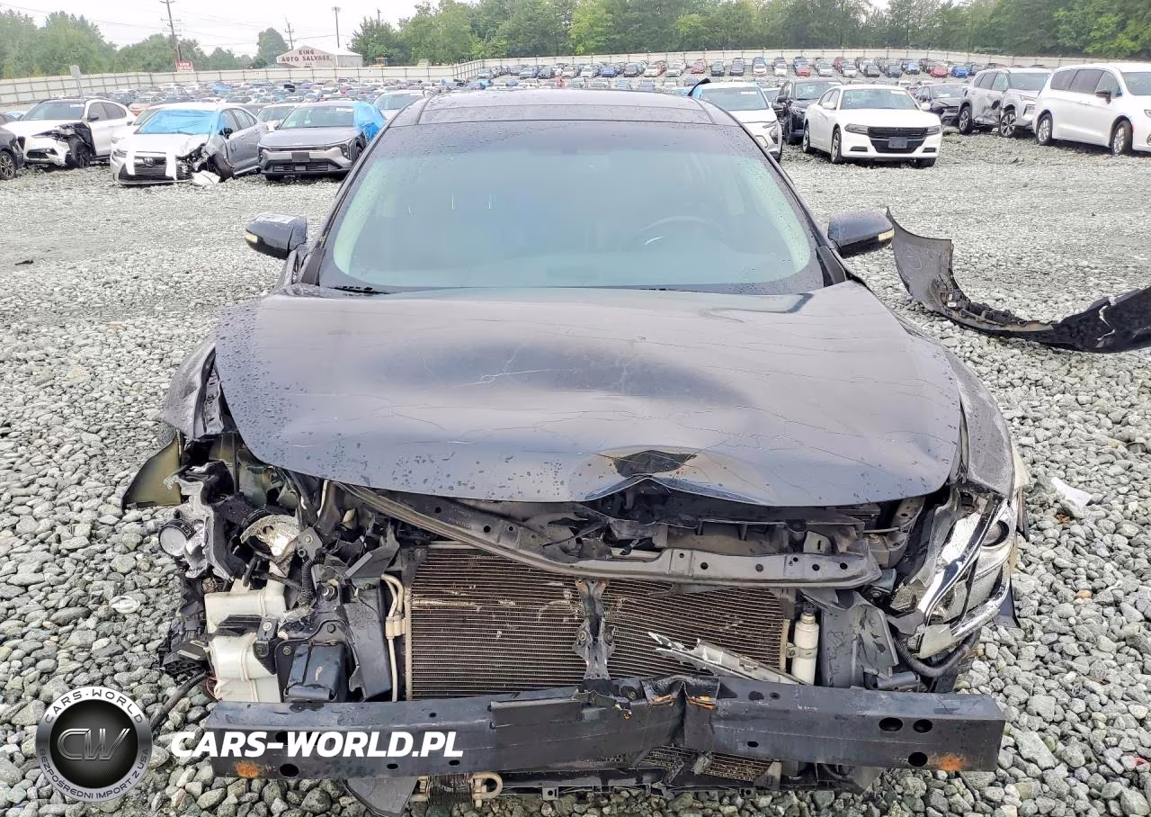 2009 Nissan Maxima 3.5 S VIN:1N4AA51E49C851079 - 5