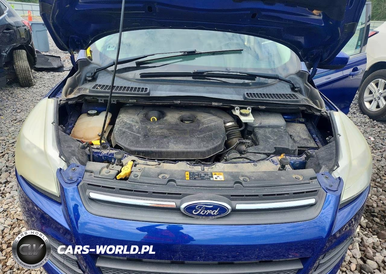 2013 Ford Escape Se VIN:1FMCU9G92DUD01258 - 11