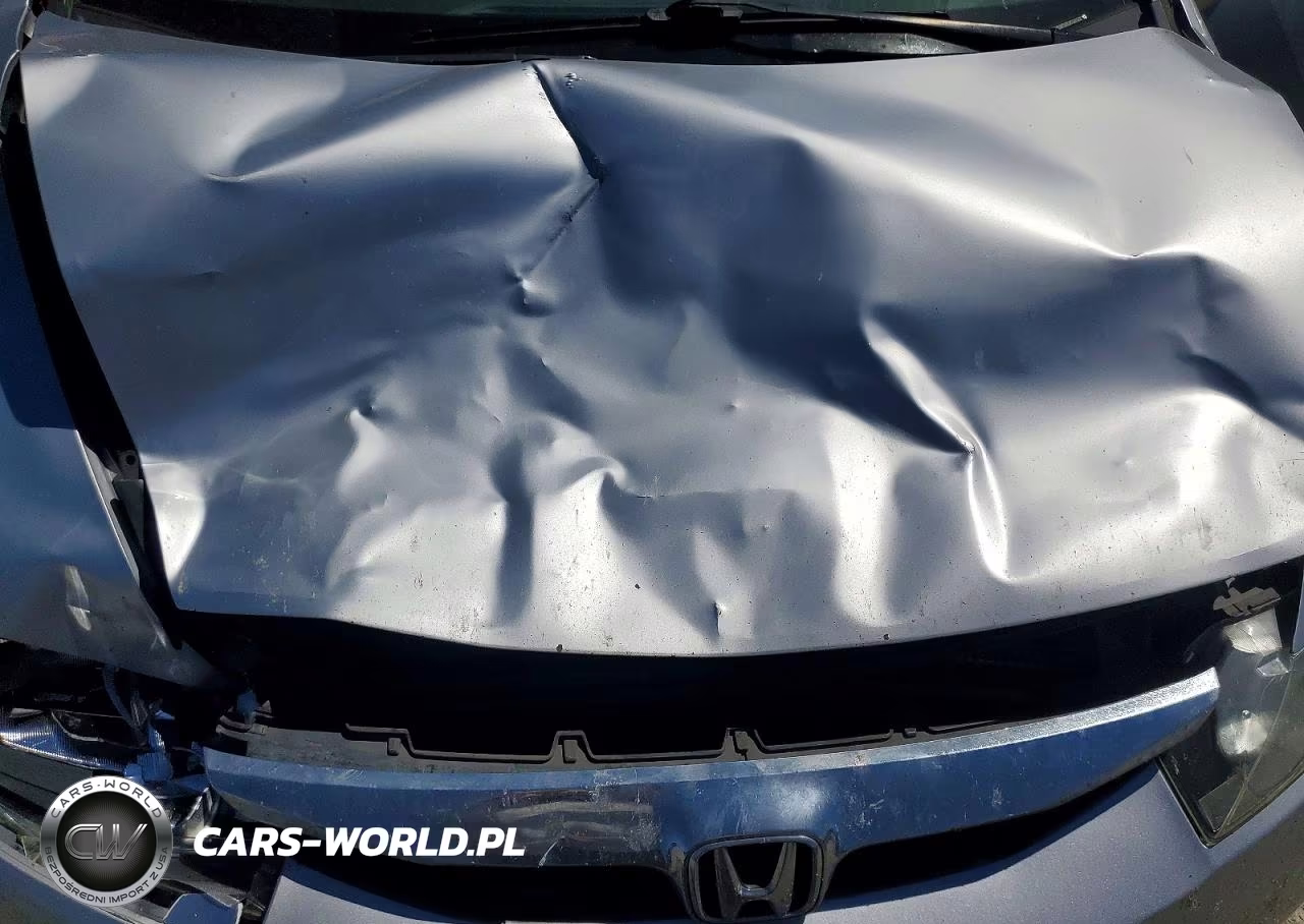 2010 Honda Civic Lx VIN:2HGFA1F53AH586109 - 11
