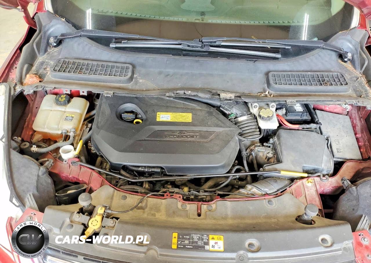 2013 Ford Escape Sel VIN:1FMCU0HXXDUB94288 - 12