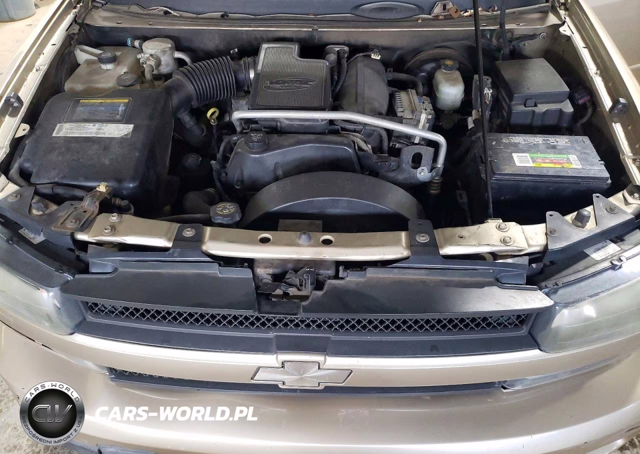 2004 Chevrolet Trailblazer Ls VIN:1GNDT13S242223167 - 12