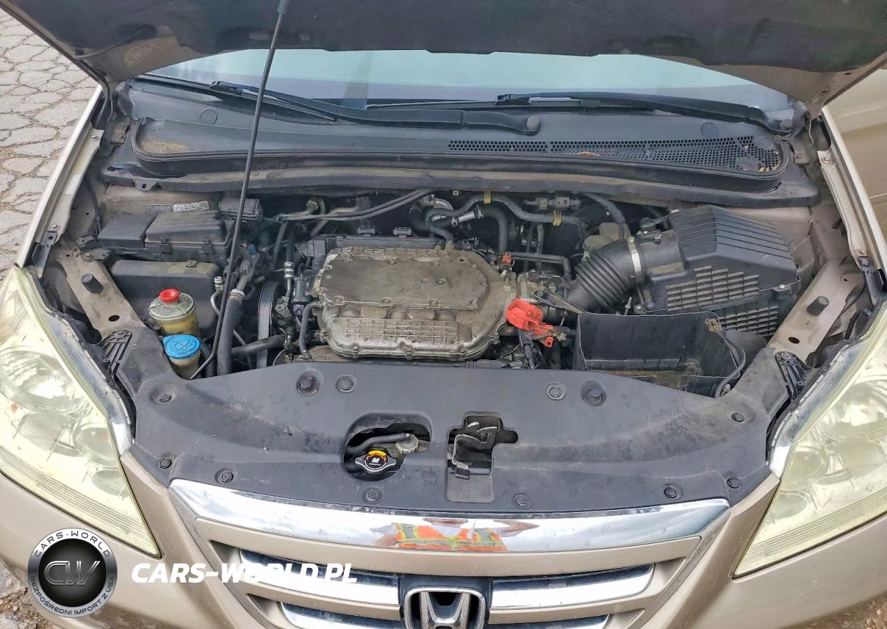 2007 Honda Odyssey Exl VIN:5FNRL38607B428896 - 12