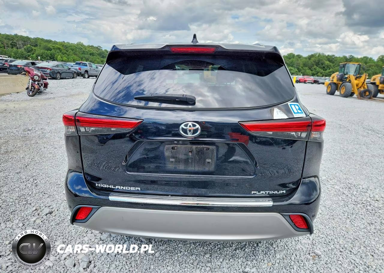2020 Toyota Highlander Platinum VIN:5TDFZRAH6LS021347 - 6