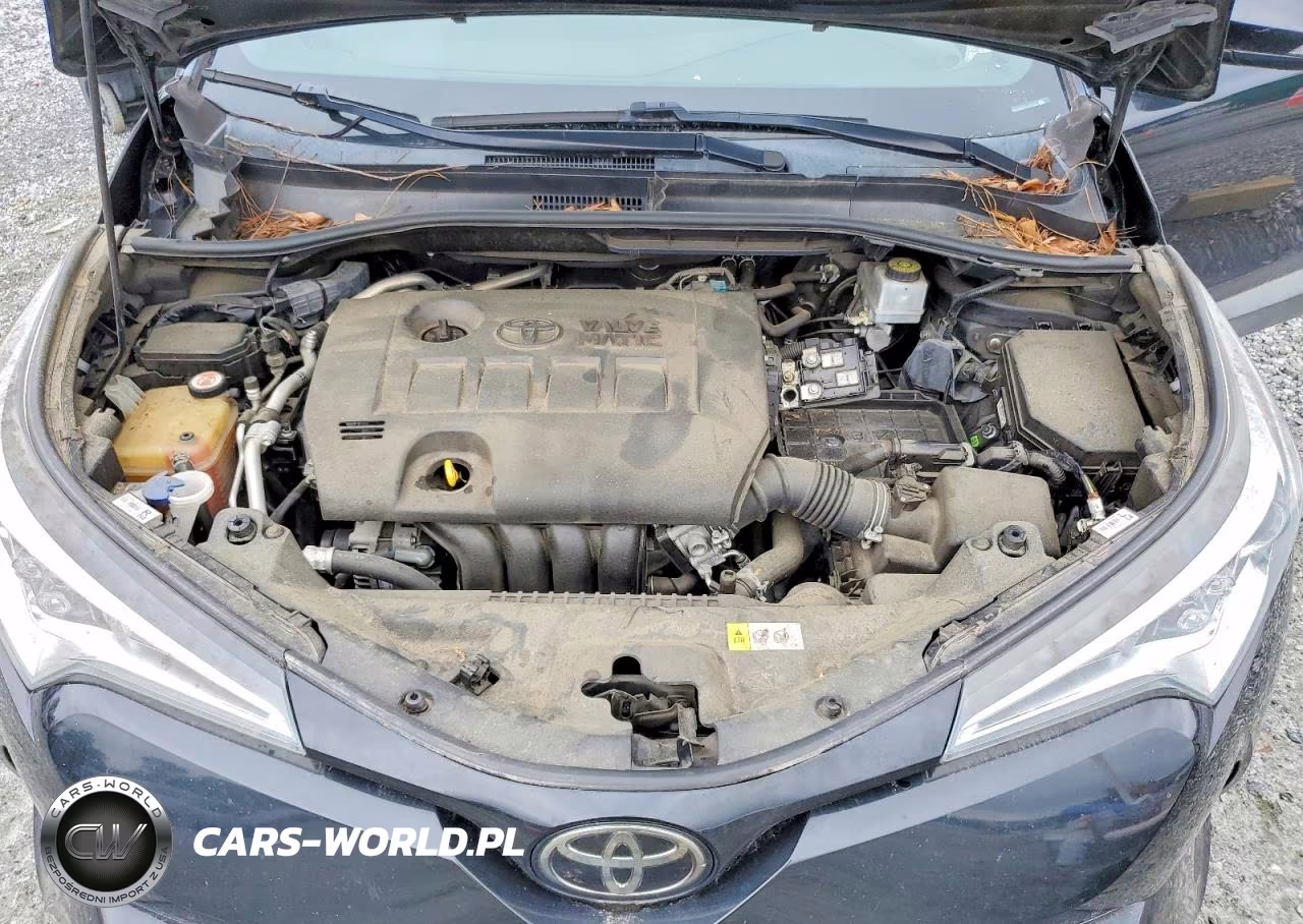 2019 Toyota C-Hr Xle VIN:NMTKHMBX2KR075462 - 11