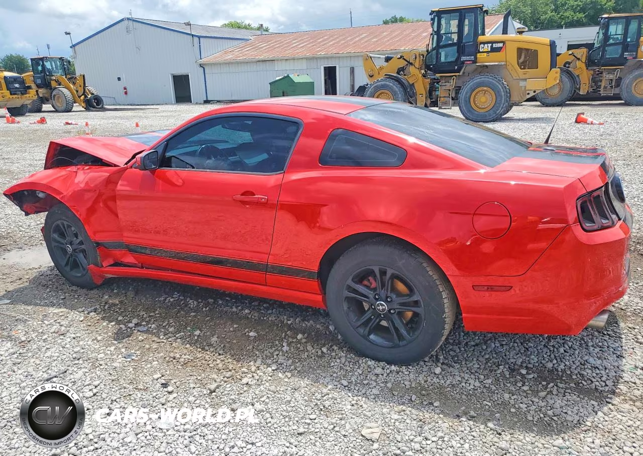 2014 Ford Mustang VIN:1ZVBP8AMXE5277394 - 2