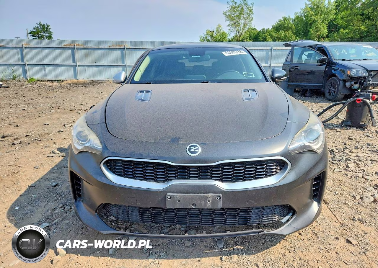 2018 Kia Stinger Base VIN:KNAE15LA1J6031354 - 5