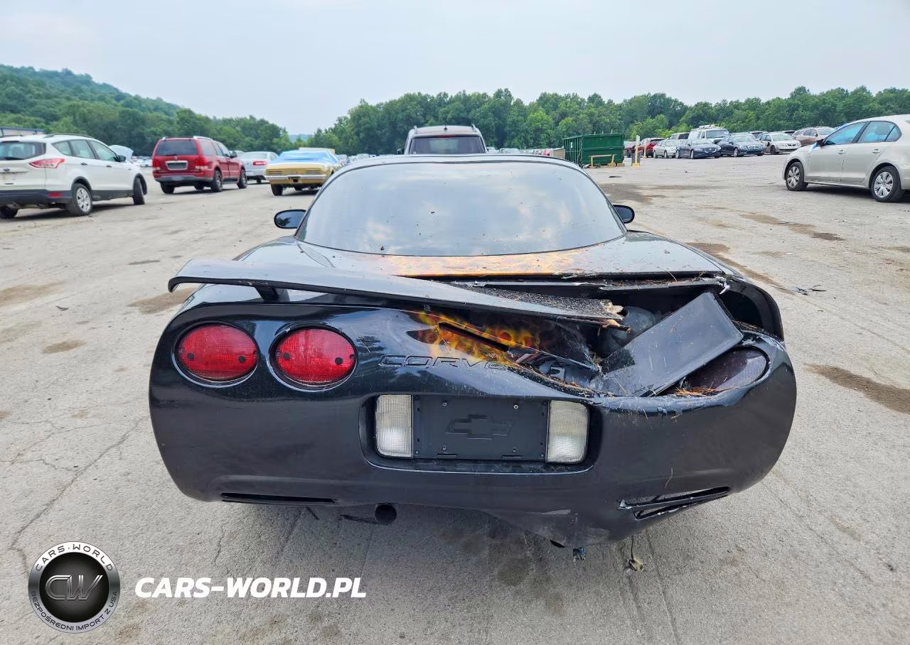 1997 Chevrolet Corvette VIN:1G1YY22G2V5104123 - 6