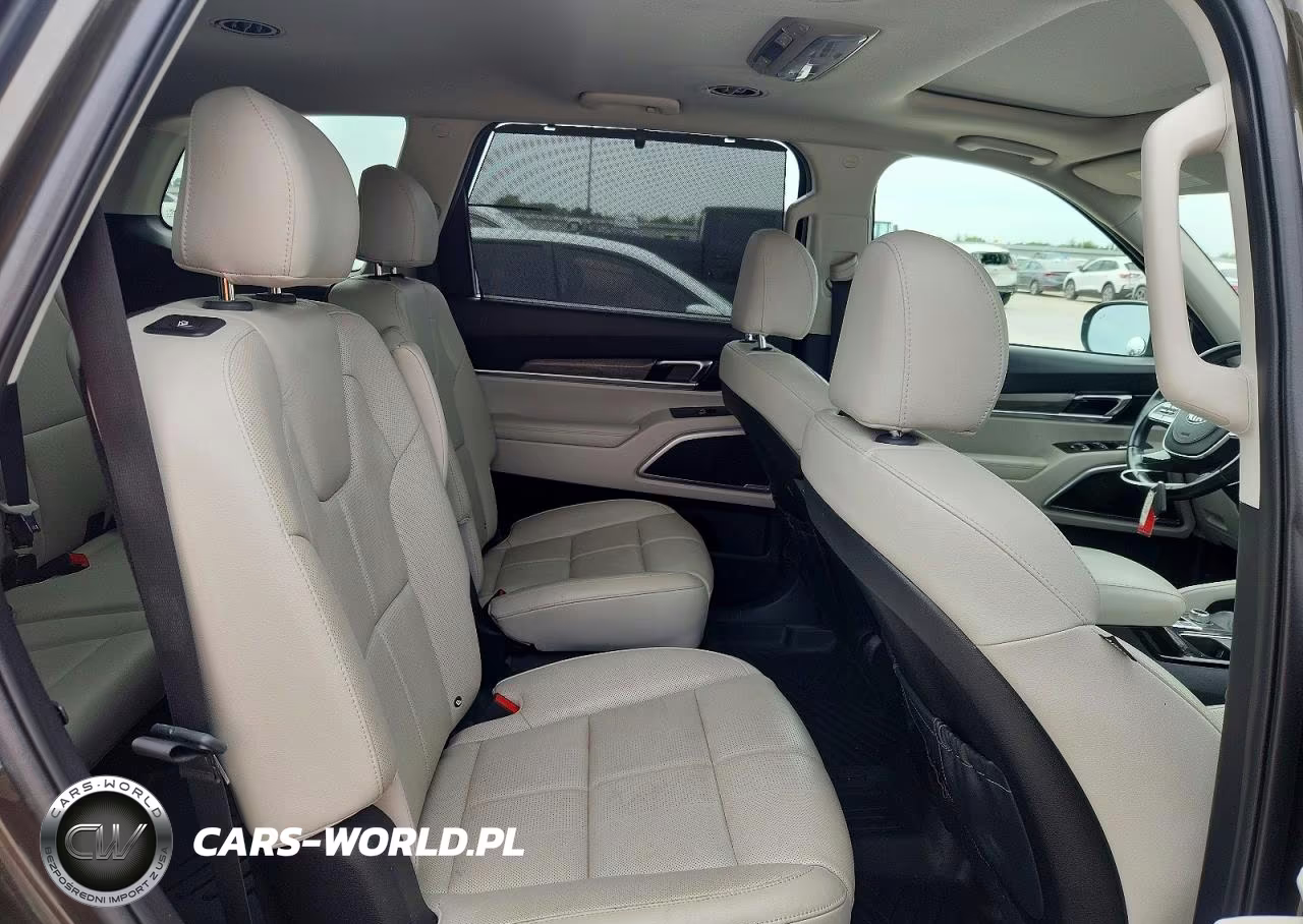 2020 Kia Telluride Ex VIN:5XYP3DHC1LG071492 - 11