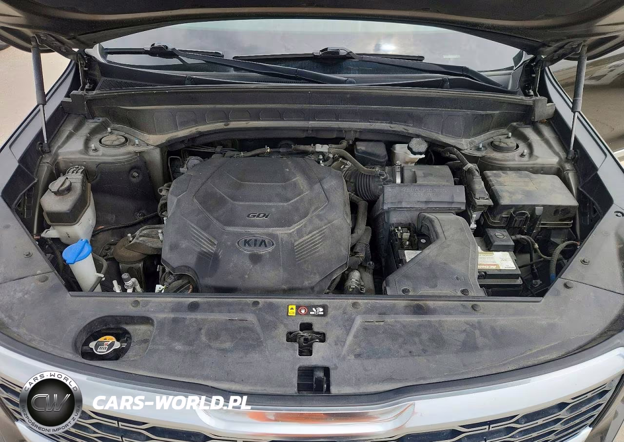 2020 Kia Telluride Ex VIN:5XYP3DHC1LG071492 - 12