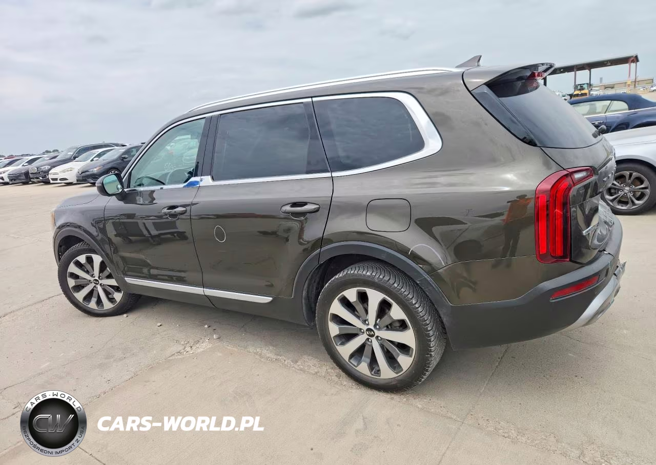 2020 Kia Telluride Ex VIN:5XYP3DHC1LG071492 - 2