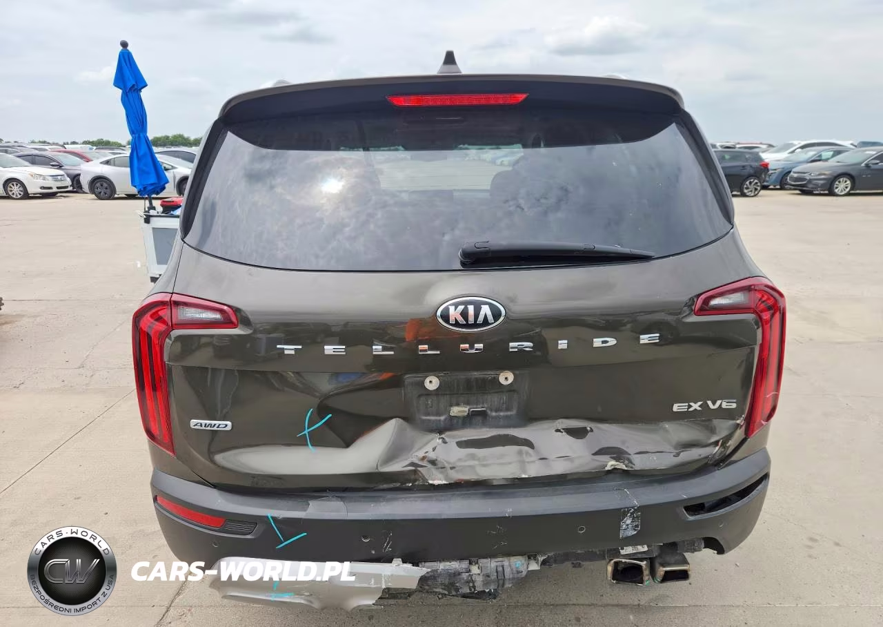 2020 Kia Telluride Ex VIN:5XYP3DHC1LG071492 - 6